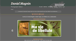 Desktop Screenshot of danielmagnin.com