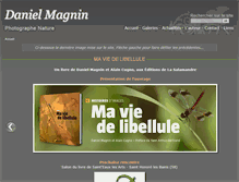 Tablet Screenshot of danielmagnin.com